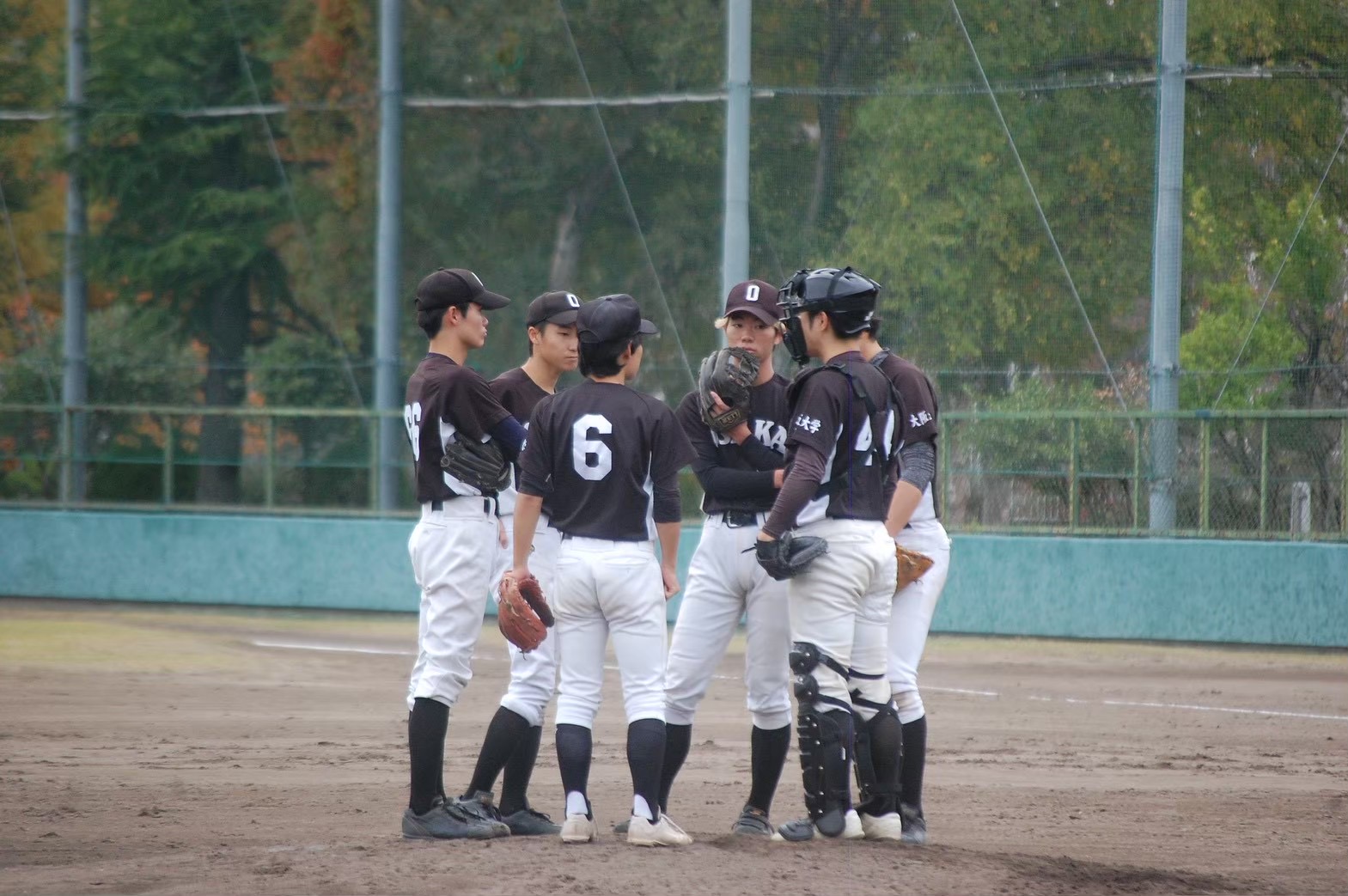 大阪大学軟式野球同好会 の宣伝画像 4枚目