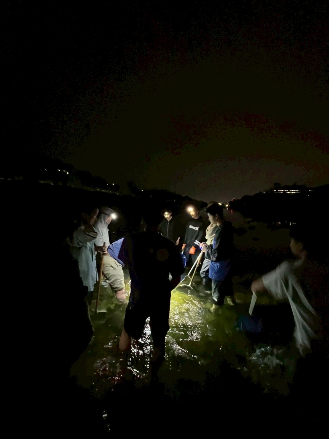 大阪大学生物研究会 の宣伝画像 5枚目
