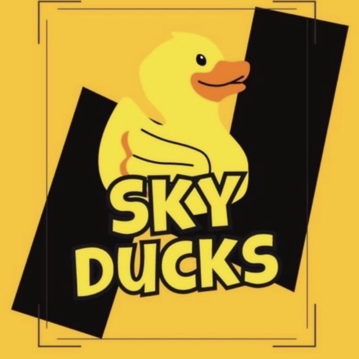 Sky Ducks のアイコン