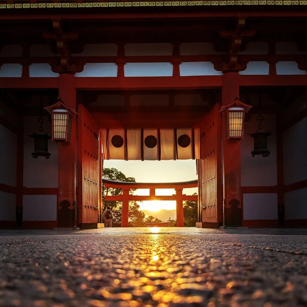 大阪大学写真サークルMemories のアイコン