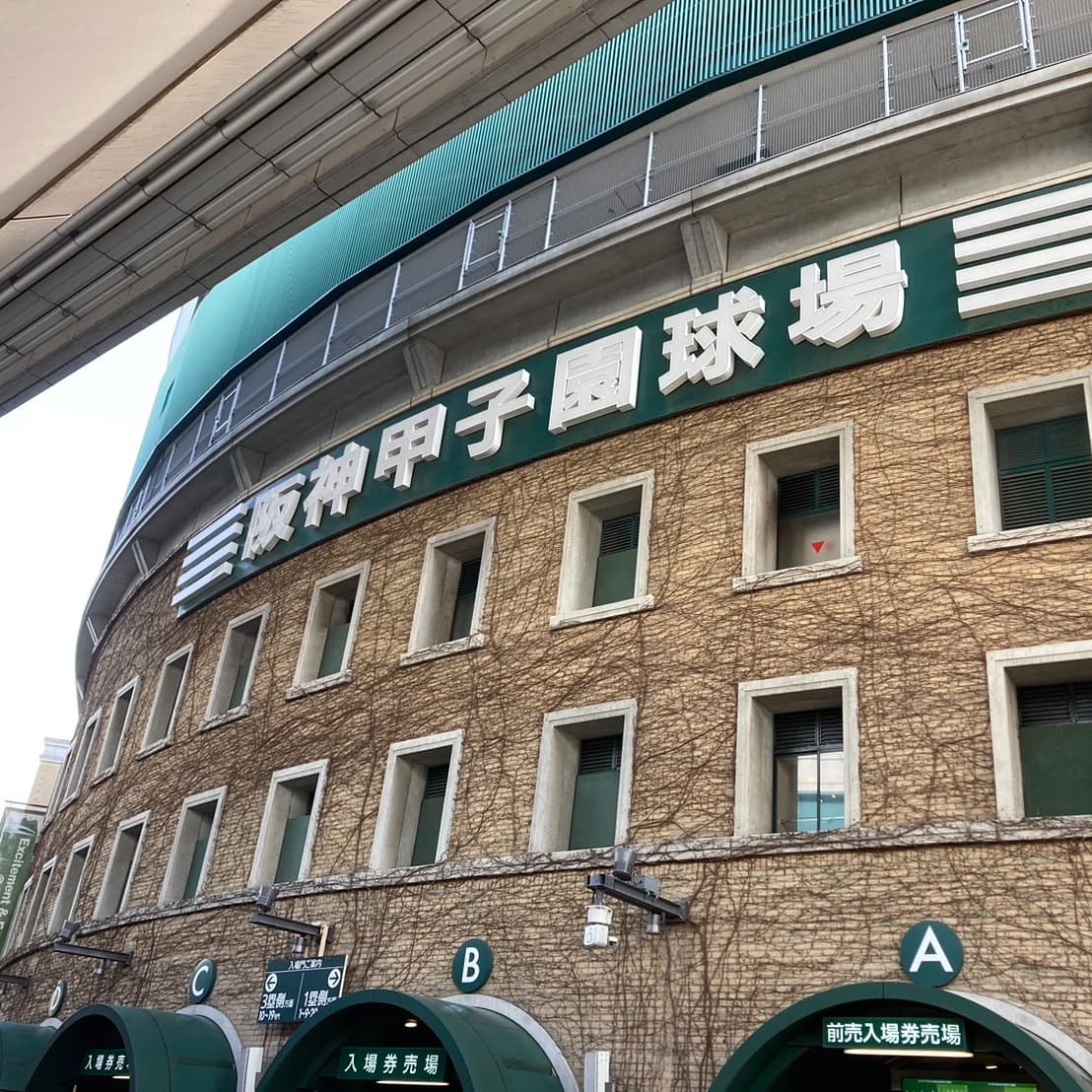 大阪大学阪神応援サークル のアイコン