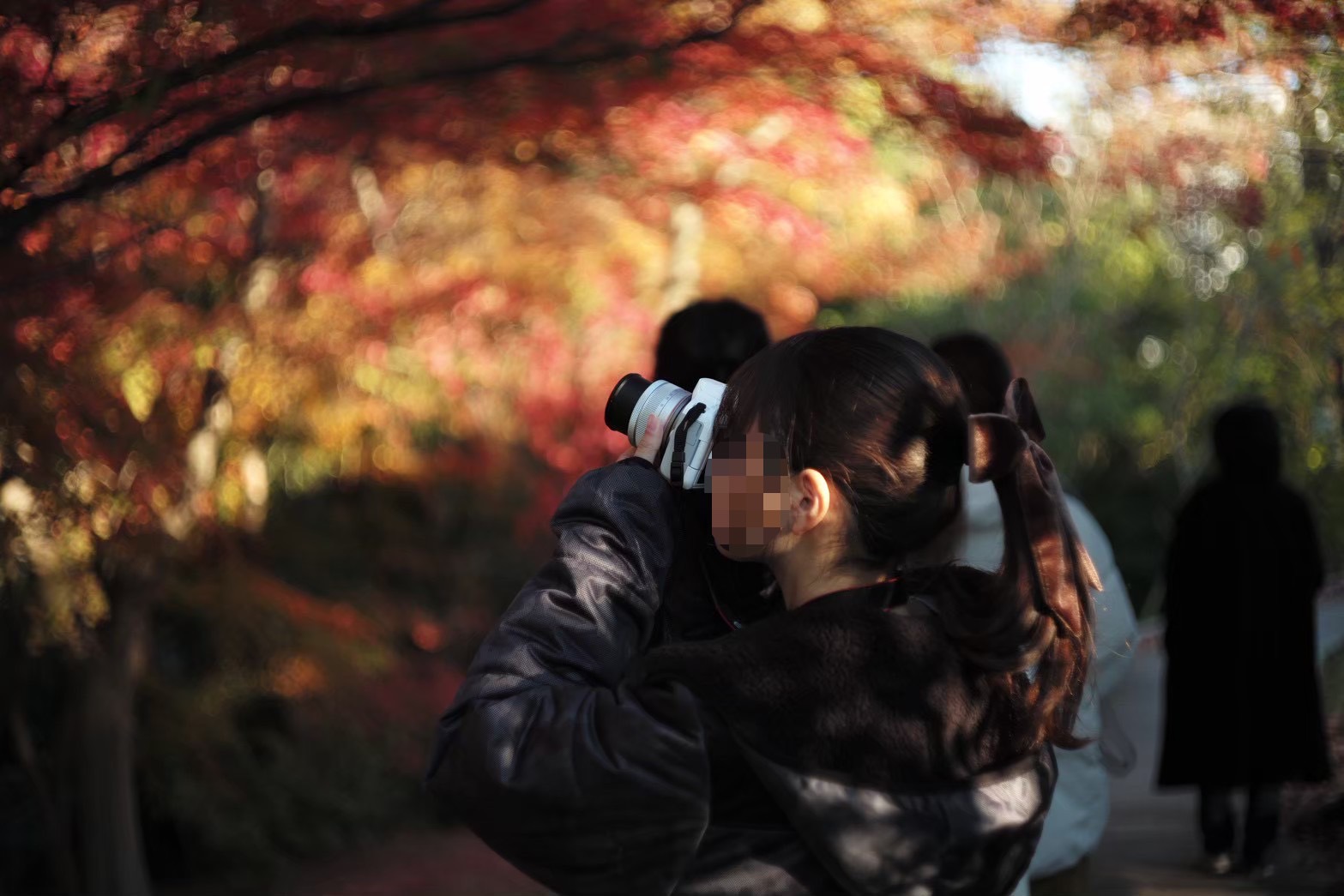 大阪大学写真部 の宣伝画像 4枚目